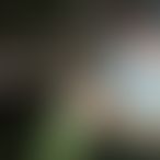 Chloe, Een trans, 32 jaar, Bunschoten-Spakenburg (2)